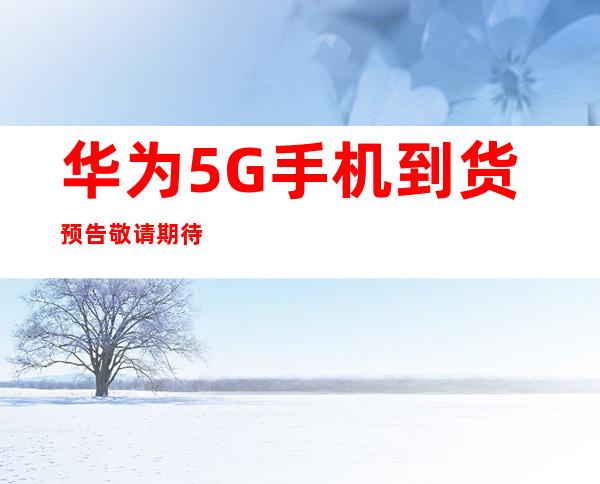 传承红色血脉，筑牢Weilink长城